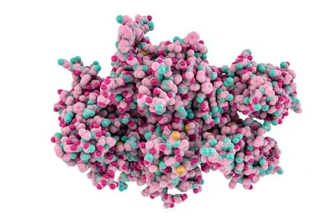 Coagulation Factor VIII Illustrazione stock