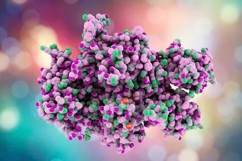 Coagulation Factor VIII Stock Illustration