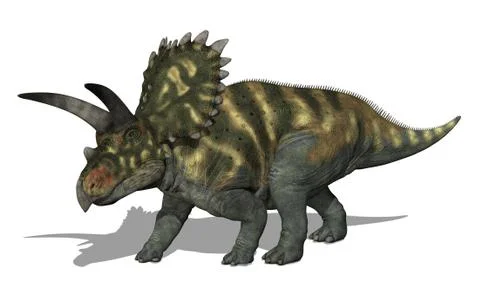Coahuilaceratops Dinosaur Stock Illustration