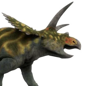 Coahuilaceratops Stock Illustration