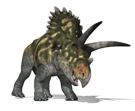 Coahuilaceratops Stock Illustration