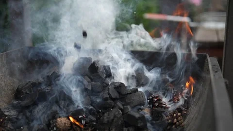 Coal add to Fireplace Fire Flames Smoke from Pine Conifer cone House Terrace BBQ Stock Footage 128450466