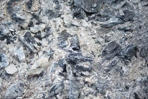 The coal. Background pattern charcoal not burning. Stock Photos