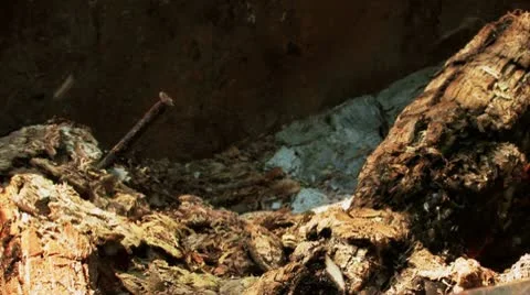 Coal burning in an oildrum Stock Footage 10731003