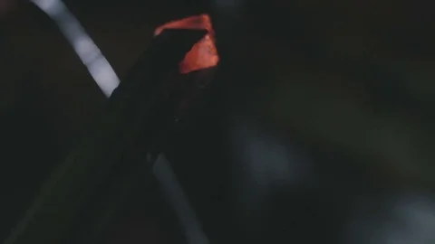 Coal burns close-up Stock Footage 76491344