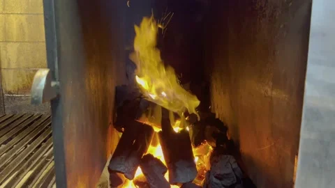 Coal in fire at argentinian grill Stock Footage 218262341