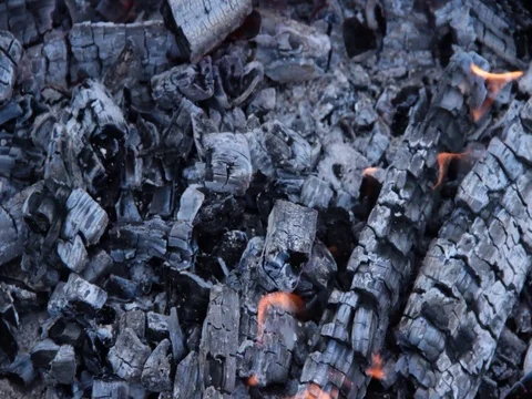 Coal 스톡 동영상 78555223