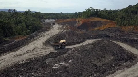 Coal getting activities in coal mining in Kalimantan Stock Footage 241778279