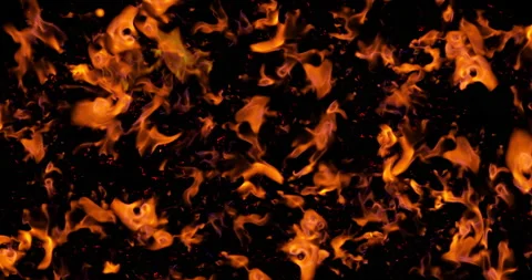 Coal in the grill isolated on black background. View from Top. Inferno firewall  Stock Footage 142069231