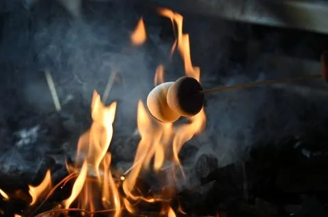 Coal-grilled marshmallows Stock Photos