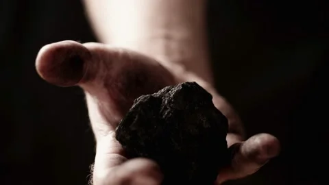 Coal in the hand of a miner. Stock Footage 207012617