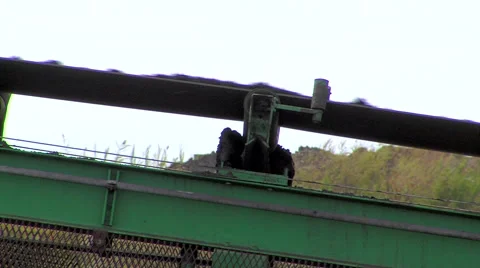 Coal Mine 7 Video stock 46552147