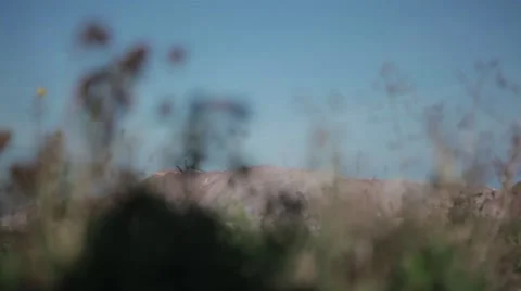 Coal mine Stock Footage 49071156