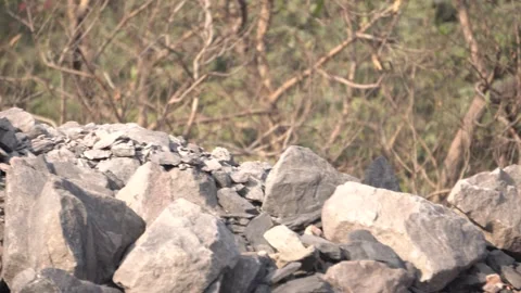 Coal mining site with dust pollution, methane gas releasing area Stock Footage 331135792