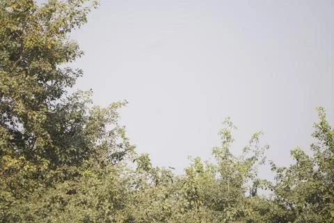 Coal mining site with dust pollution, methane gas releasing area 库存照片
