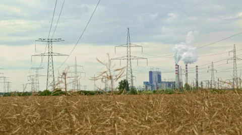 Coal powered electrical generation plant in the background Stock Footage 53294624
