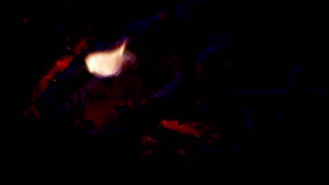 Coal smolders with small flame languages in the fire. Video stock 166168179