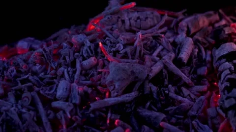 Coal smolders with small flame languages in the fire. Video stock 166168220