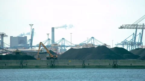Coal storage / dry bulk Rotterdam Stock Footage 131649812