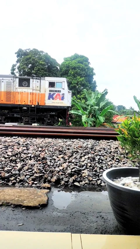 Coal train 動画素材 233027800