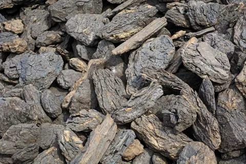 Coal for winter Stock Photos