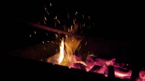 Coals and Fire 库存影片 159678192