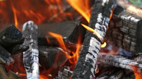 Coals are burning in fire flame. Orange fire transforms the wood into charcoal Stock Footage 134782348