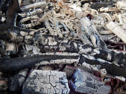 Coals of a burning campfire close up Stock Photos