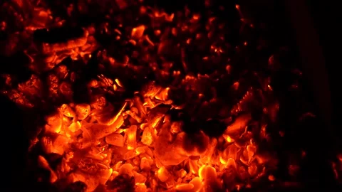 Coals burning in grill, fire transforms wood into charcoal. Vidéo 155014960