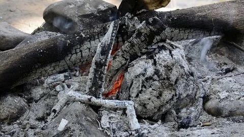 The coals of a campfire closeup. Stock Footage 79710051