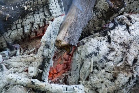 The coals of a campfire closeup. Stock Photos