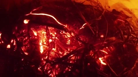 Coals on The Dry of Plants Stems Are Heated by the Action of the Wind in the Dar Stock Footage 74853453