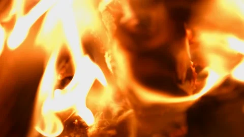 Coals in a fire close-up Stock Footage 147554185