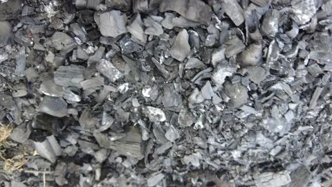 The coals that have cooled down after the fire. wooden charcoal . natural fer Stock Footage 159639923