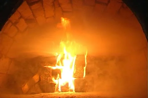 Coals in the stove Stock Footage 10793884