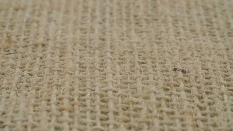 Coarse burlap of rare weave Stock Footage 137752195