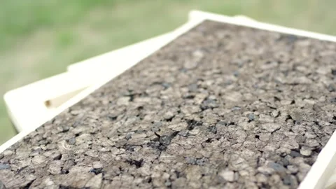 Coarse Cork Insulation Panel in Wooden Frame, Green Lawn Behind, Macro Shot Stock Footage 341296731