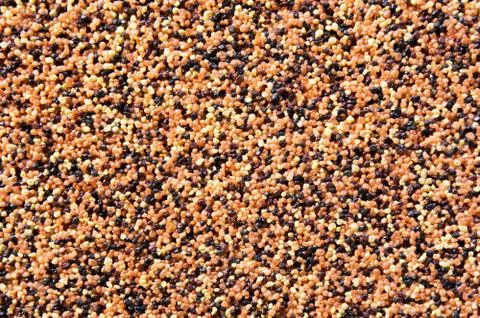 Coarse grained texture, background Stock Photos