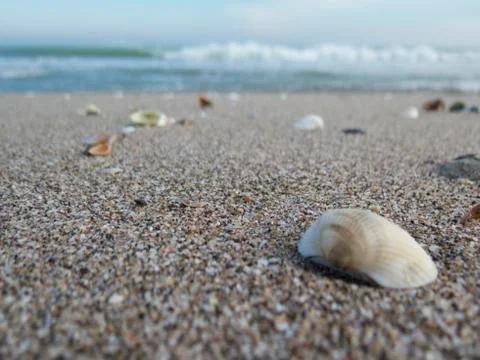 Coarse sand with seashells on the beach with the sea and the waves Stock Photos