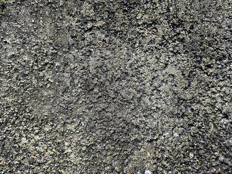 Coarsely textured surface Stock Photos