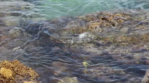 Coast of the Adriatic Sea Stock Footage 48666770