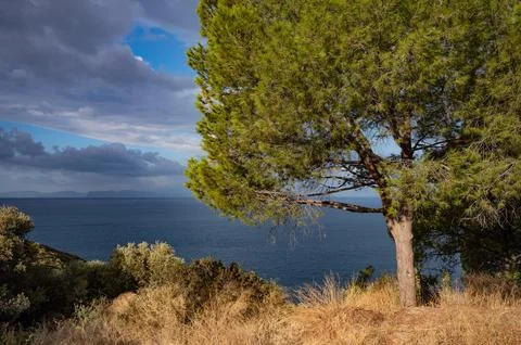 Coast of the Aegean Foto stock