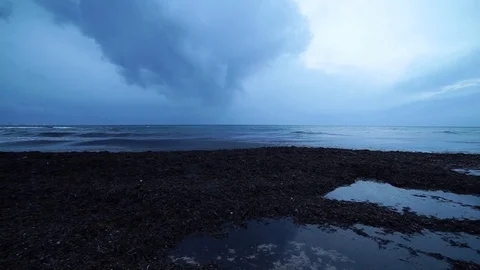 The coast after the storm with many algae and large black clouds Stock Footage 100145863