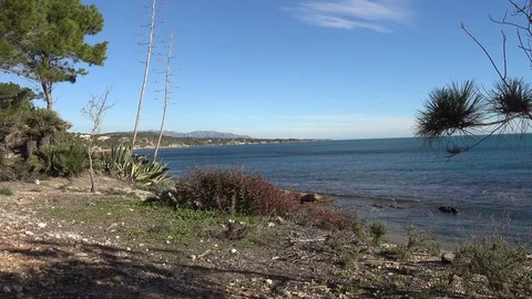 The coast in Ampolla de Mar on the darned coast 스톡 동영상 101243821