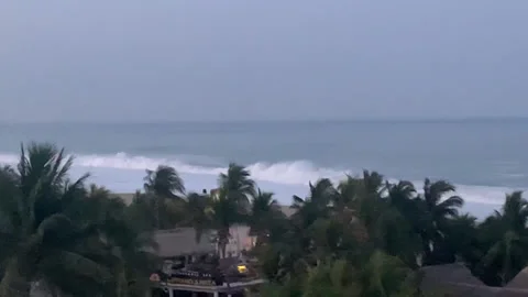 Coast and Palm Trees HD Stock Footage 175904092