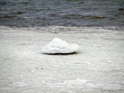 Coast of the Baltic Stock Photos