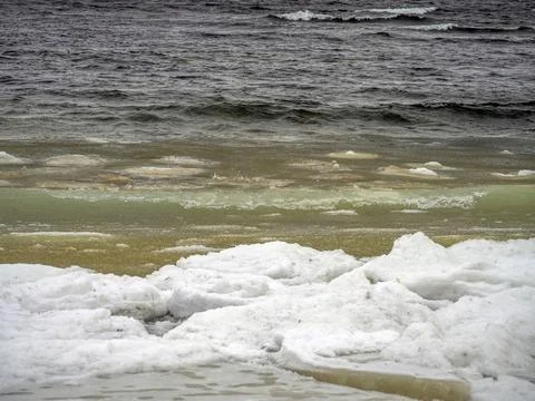 Coast of the Baltic Stock Photos