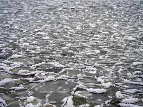 Coast of the Baltic Stock Photos