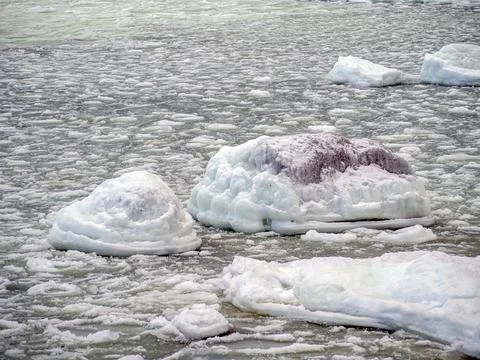 Coast of the Baltic Stockfoto's