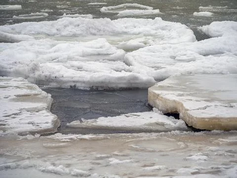 Coast of the Baltic Stock Photos